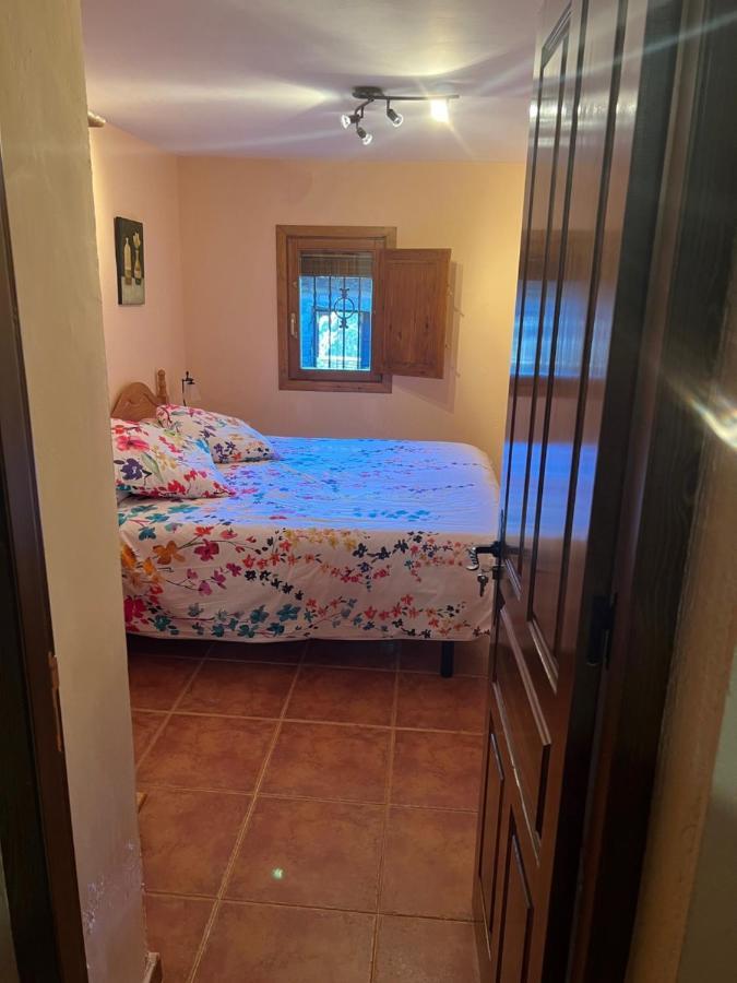 דירות Gerbe Casa Torreta מראה חיצוני תמונה